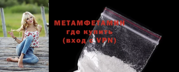 прущие грибы Пестово