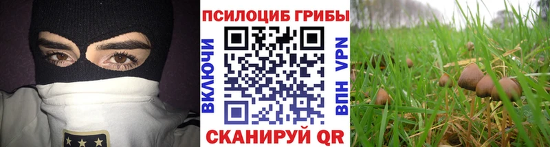 Псилоцибиновые грибы ЛСД Кириллов